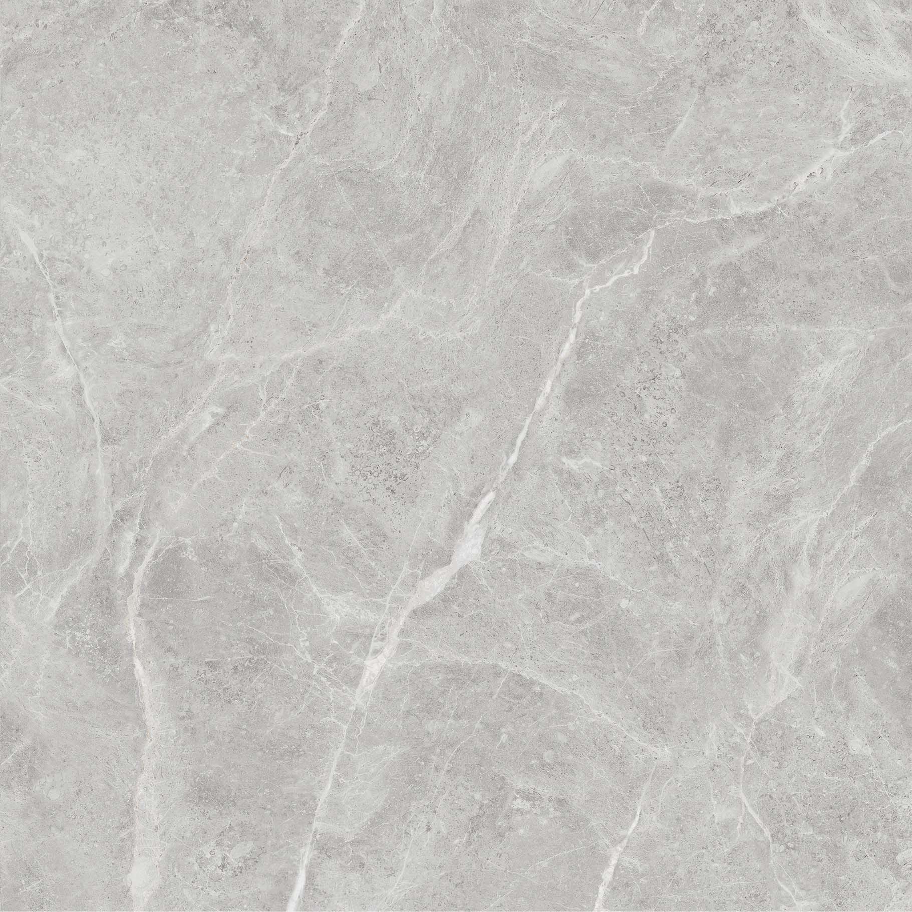 OFTT80018B 達爾曼灰