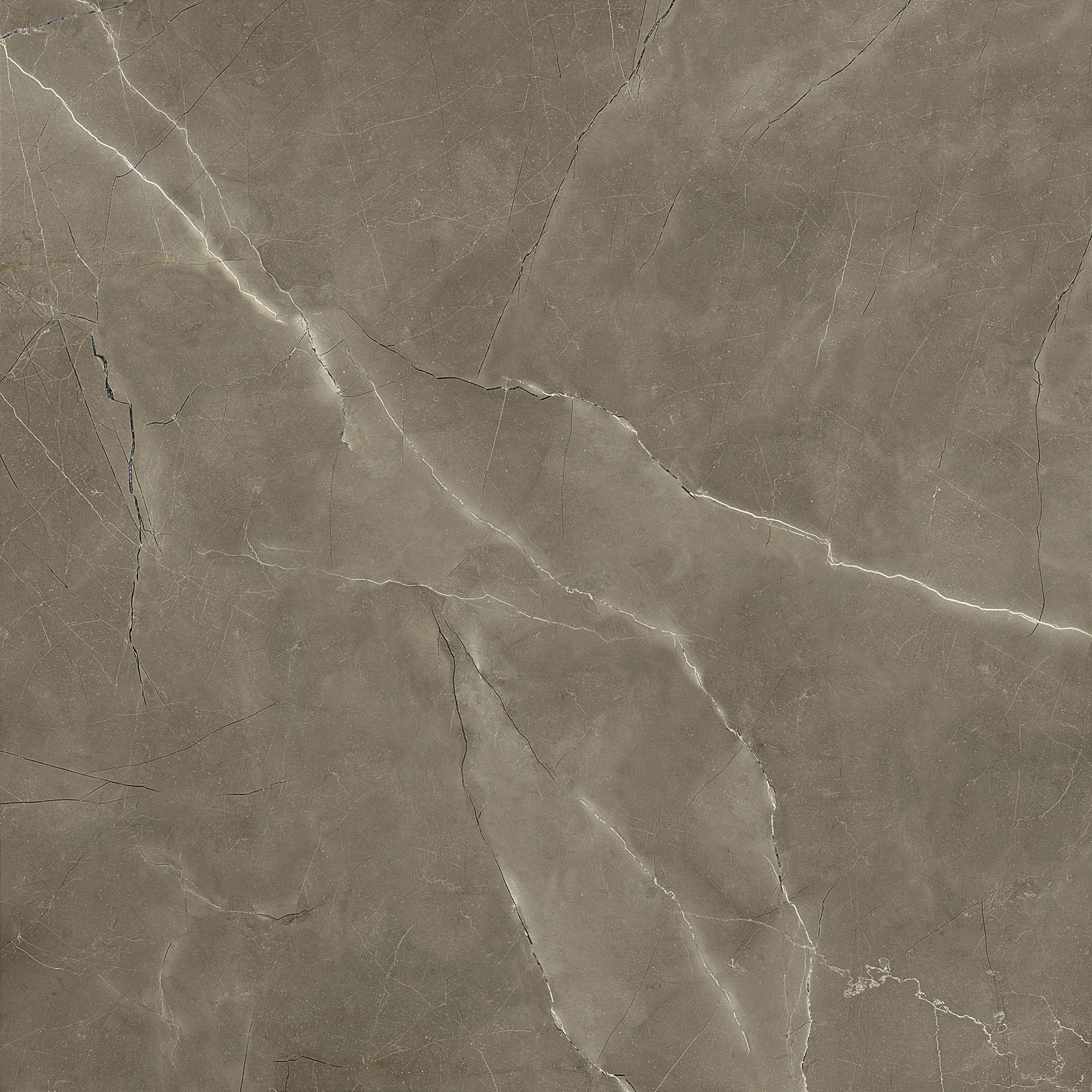 #OFTT80017B 圣羅蘭