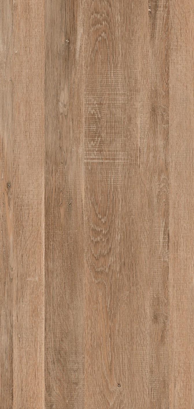 OFTD12011 東方云木