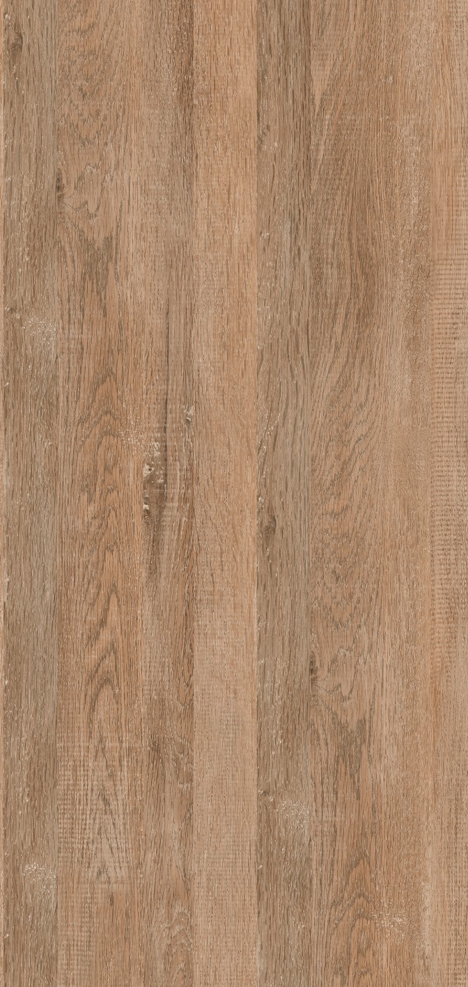 OFTD12011 東方云木