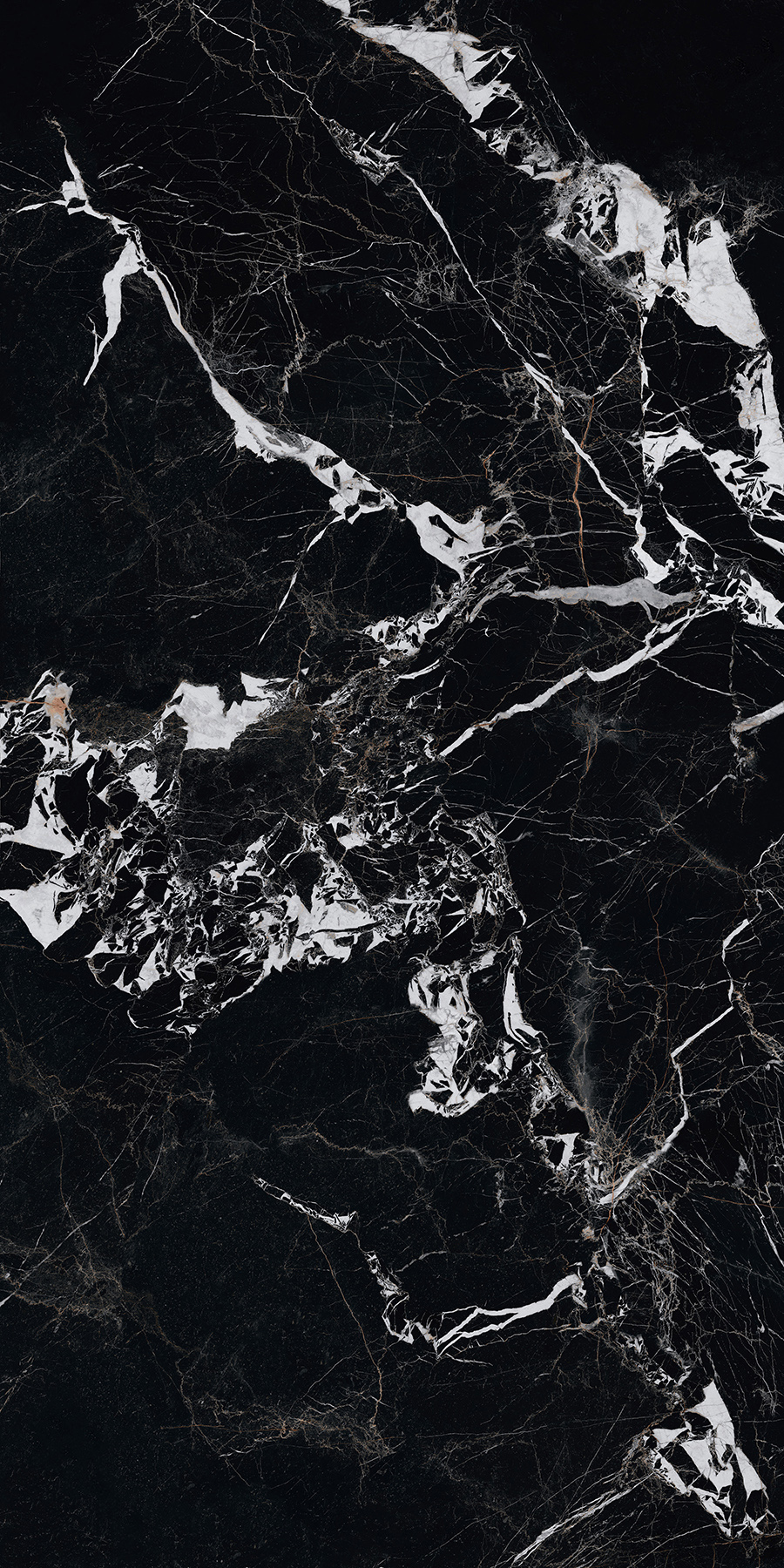 FTFZ12236寶格麗黑