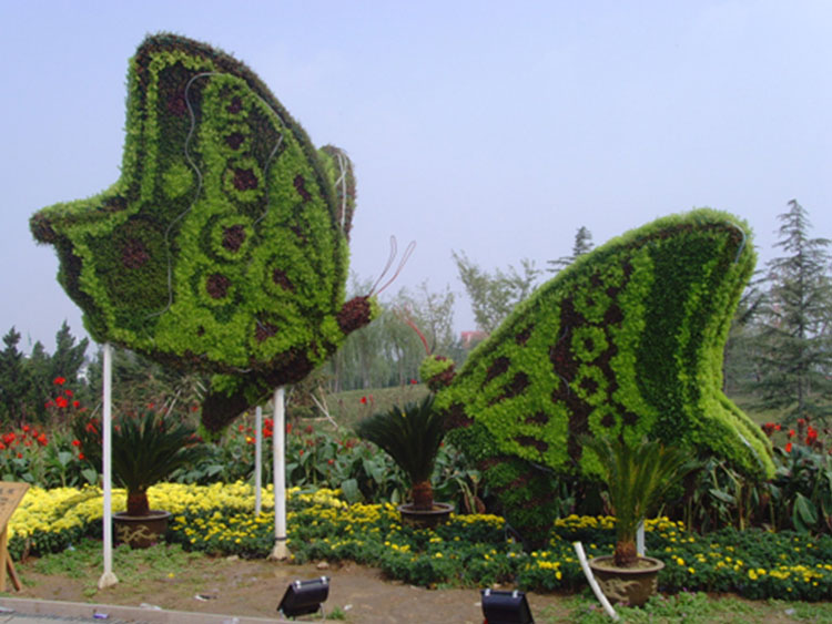 01.jpg