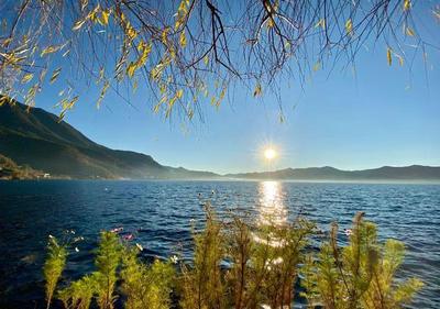 旅游企業(yè)業(yè)務全線復蘇 上調業(yè)績目標，'只要給機會，一定能一躍而起'