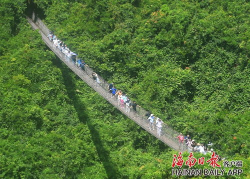 國慶假期海南旅文行業強勢復蘇，多元產品供給激活國內旅游市場