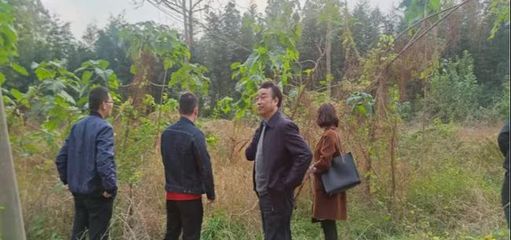市環(huán)境攻堅(jiān)辦調(diào)研組深入浉河區(qū)開展耕地土壤污染防治專項(xiàng)調(diào)研