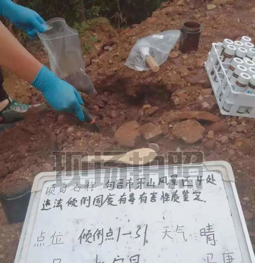 山羊拱土后離奇死亡 土壤背后的生命代價與污染防治警示