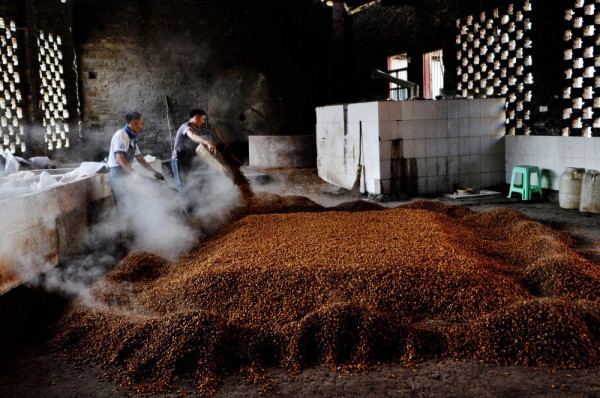 釀酒出的酒苦是為什么呢?