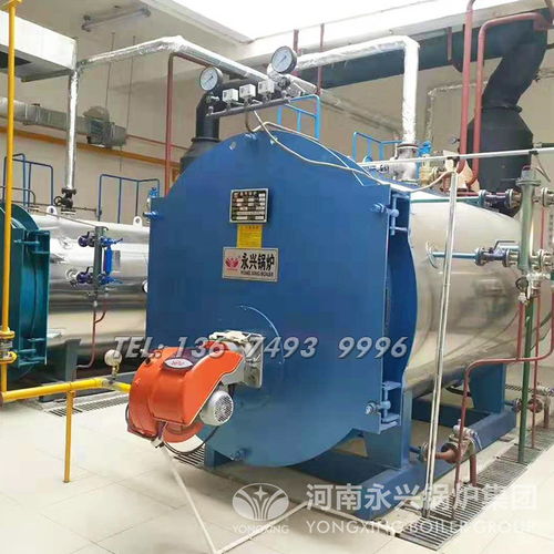 【釀酒食品化工-工業燃氣蒸汽鍋爐_燃氣鍋爐廠家】-