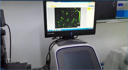 合曜生物 | 依托非模式生物自動化改造平臺,聚焦高附加值產(chǎn)品,多款已達(dá)量產(chǎn)水平